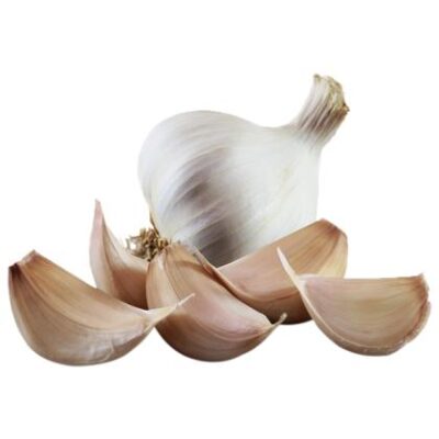 garlic